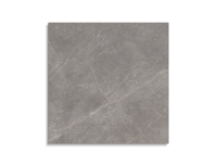vloertegel Porcelanosa Mystic Grey 120 x 120 | 157-817 | Jan Groen Tegels