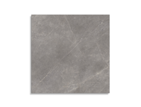 vloertegel Porcelanosa Mystic Grey 120 x 120 | 157-817 | Jan Groen Tegels