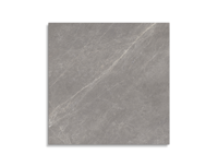 vloertegel Porcelanosa Mystic Grey  80 x 80 | 773-553 | Jan Groen Tegels