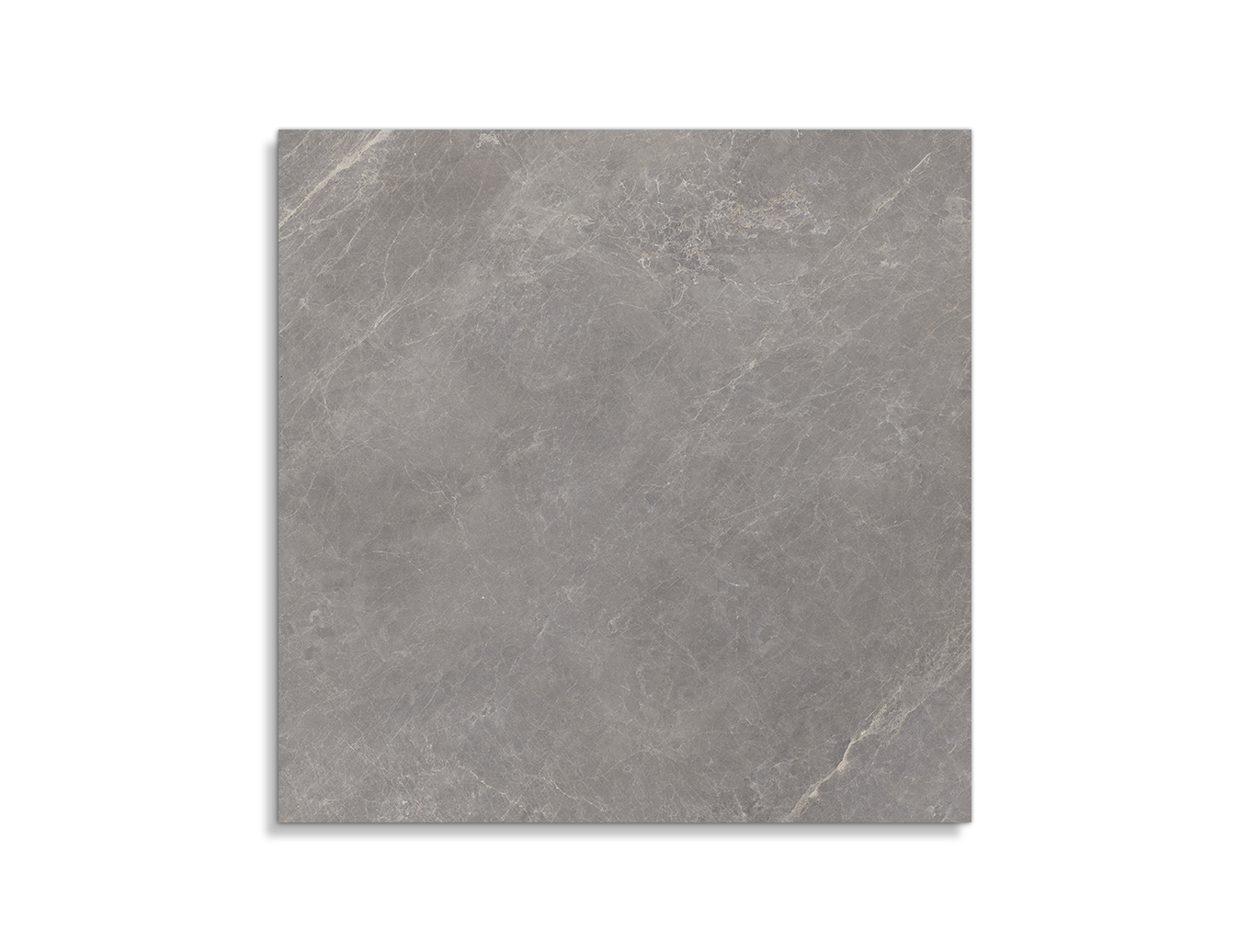vloertegel Porcelanosa Mystic Grey 80 x 80