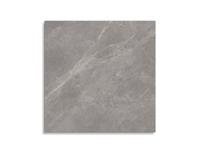 vloertegel Porcelanosa Mystic Grey  80 x 80 | 773-553 | Jan Groen Tegels