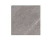 vloertegel Porcelanosa Mystic Grey  80 x 80 | 773-553 | Jan Groen Tegels