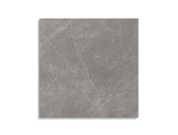 vloertegel Porcelanosa Mystic Grey  80 x 80 | 773-553 | Jan Groen Tegels