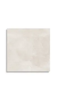vloertegel Beige 59.6 x 59.6 | 350-063 | Jan Groen Tegels