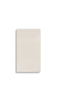 wandtegel Beige 33.3 x 59.2 | 449-954 | Jan Groen Tegels