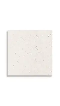 vloertegel Wit 44.3 x 44.3 | 290-307 | Jan Groen Tegels