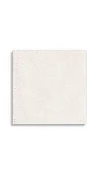 vloertegel Wit 44.3 x 44.3 | 290-307 | Jan Groen Tegels