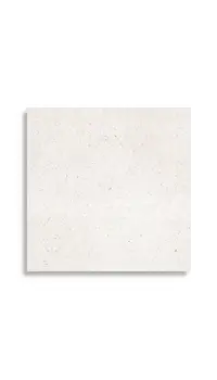 vloertegel Wit 80 x 80 | 507-483 | Jan Groen Tegels