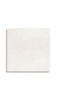 vloertegel Wit 80 x 80 | 507-483 | Jan Groen Tegels