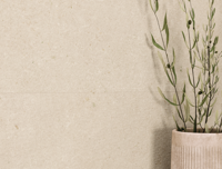 wandtegel Porcelanosa Cancun Sand Line 59,6 x 150 | 724-899 | Jan Groen Tegels