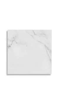 vloertegel Wit 44.3 x 44.3 | 416-120 | Jan Groen Tegels