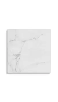 vloertegel Wit 44.3 x 44.3 | 416-120 | Jan Groen Tegels