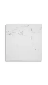 vloertegel Wit 59.6 x 59.6 | 620-470 | Jan Groen Tegels