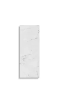 vloertegel Wit 45 x 120 | 129-709 | Jan Groen Tegels