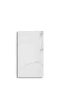 wandtegel Wit 33.3 x 59.2 | 830-274 | Jan Groen Tegels