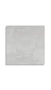 vloertegel Grijs 59.6 x 59.6 | 681-197 | Jan Groen Tegels