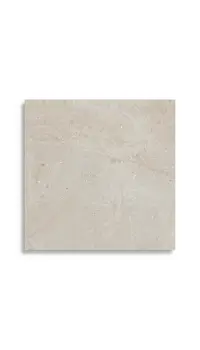 vloertegel Grijs 59.6 x 59.6 | 257-478 | Jan Groen Tegels