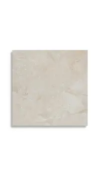 vloertegel Grijs 59.6 x 59.6 | 257-478 | Jan Groen Tegels