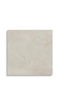 vloertegel Grijs 59.6 x 59.6 | 257-478 | Jan Groen Tegels