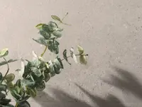 wandtegel Grijs 59.6 x 150 | 762-421 | Jan Groen Tegels