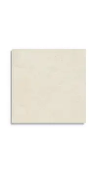 vloertegel Beige 59.6 x 59.6 | 645-501 | Jan Groen Tegels