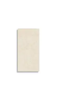 wandtegel Beige 33.3 x 59.2 | 308-883 | Jan Groen Tegels