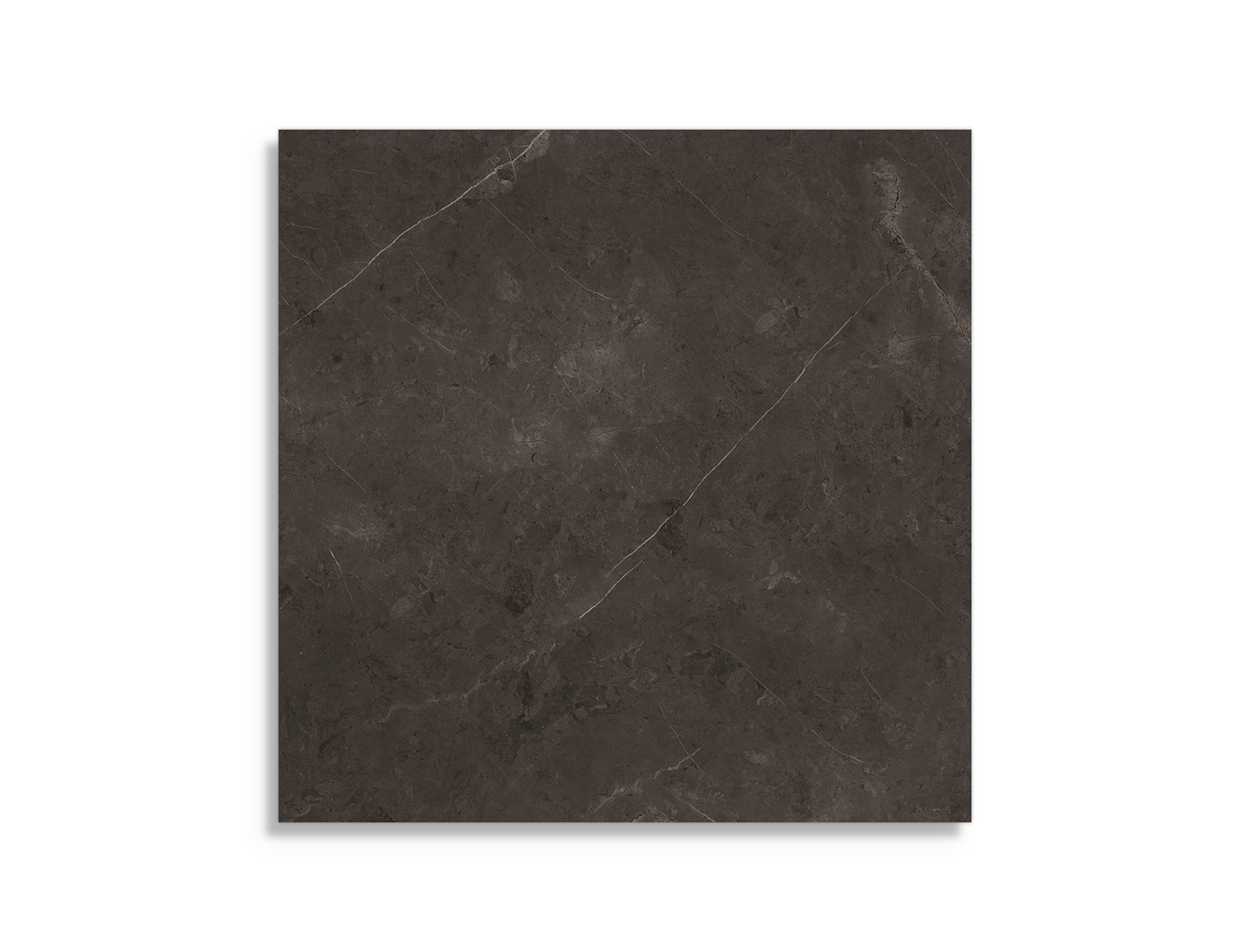 vloertegel Porcelanosa Karachi Grey 120 x 120