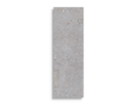 wandtegel Porcelanosa Matika Acero 33,3 x 100 | 167-569 | Jan Groen Tegels