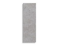 wandtegel Porcelanosa Matika Acero 33,3 x 100 | 167-569 | Jan Groen Tegels