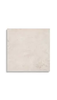 vloertegel Beige 59.6 x 59.6 | 444-749 | Jan Groen Tegels