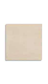 vloertegel Beige 59.6 x 59.6 | 773-143 | Jan Groen Tegels