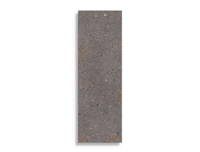 wandtegel Porcelanosa Matika Topo 33,3 x 100 | 127-054 | Jan Groen Tegels
