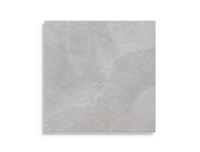 Tuintegel Sintesi Tracks Silver 20Mm Ret 60,4 x 60,4 | 283-192 | Jan Groen Tegels