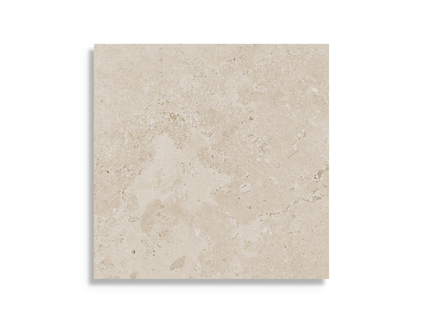 Vloertegel Sintesi Timeless Ivory Ret 60 x 60