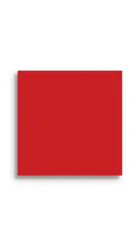 wandtegel Rood 14.8 x 14.8 | 280-804 | Jan Groen Tegels