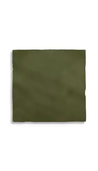 wandtegel Groen 13 x 13 | 732-147 | Jan Groen Tegels