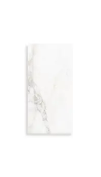 wandtegel Wit 25 x 50 | 116-737 | Jan Groen Tegels