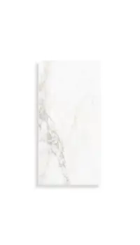 wandtegel Wit 25 x 50 | 711-814 | Jan Groen Tegels