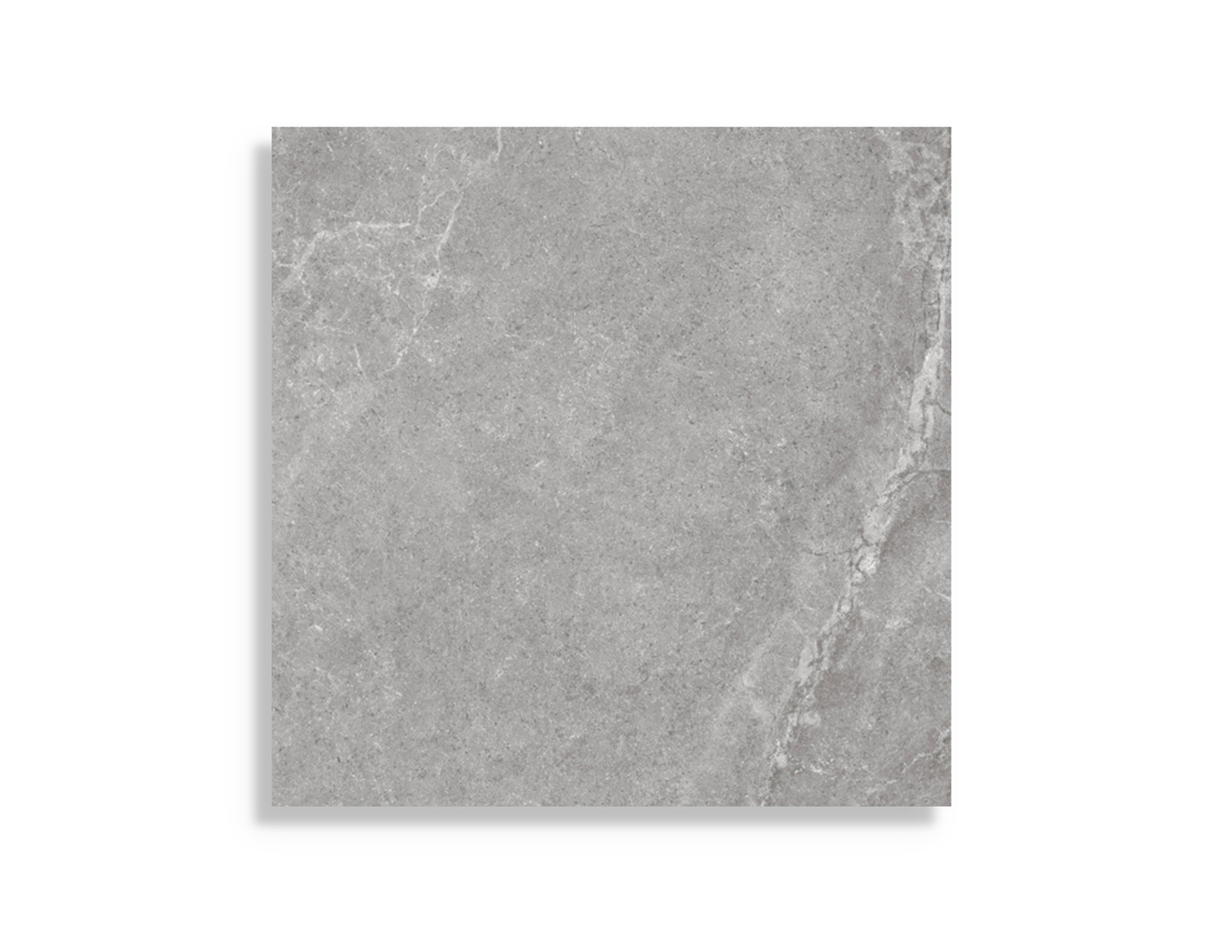 Vloertegel Argenta Storm Grey Rect 60 x 60
