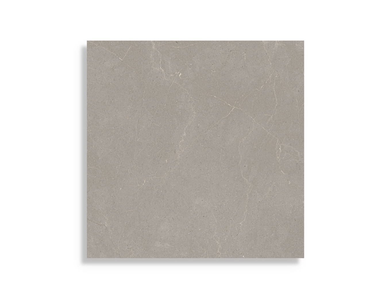 Vloertegel Argenta Palco Dark Rect 60 x 60