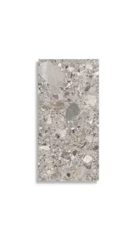 Tuintegel STN Outdoor Inlay Natural 60 x 120 | 495-345 | Jan Groen Tegels