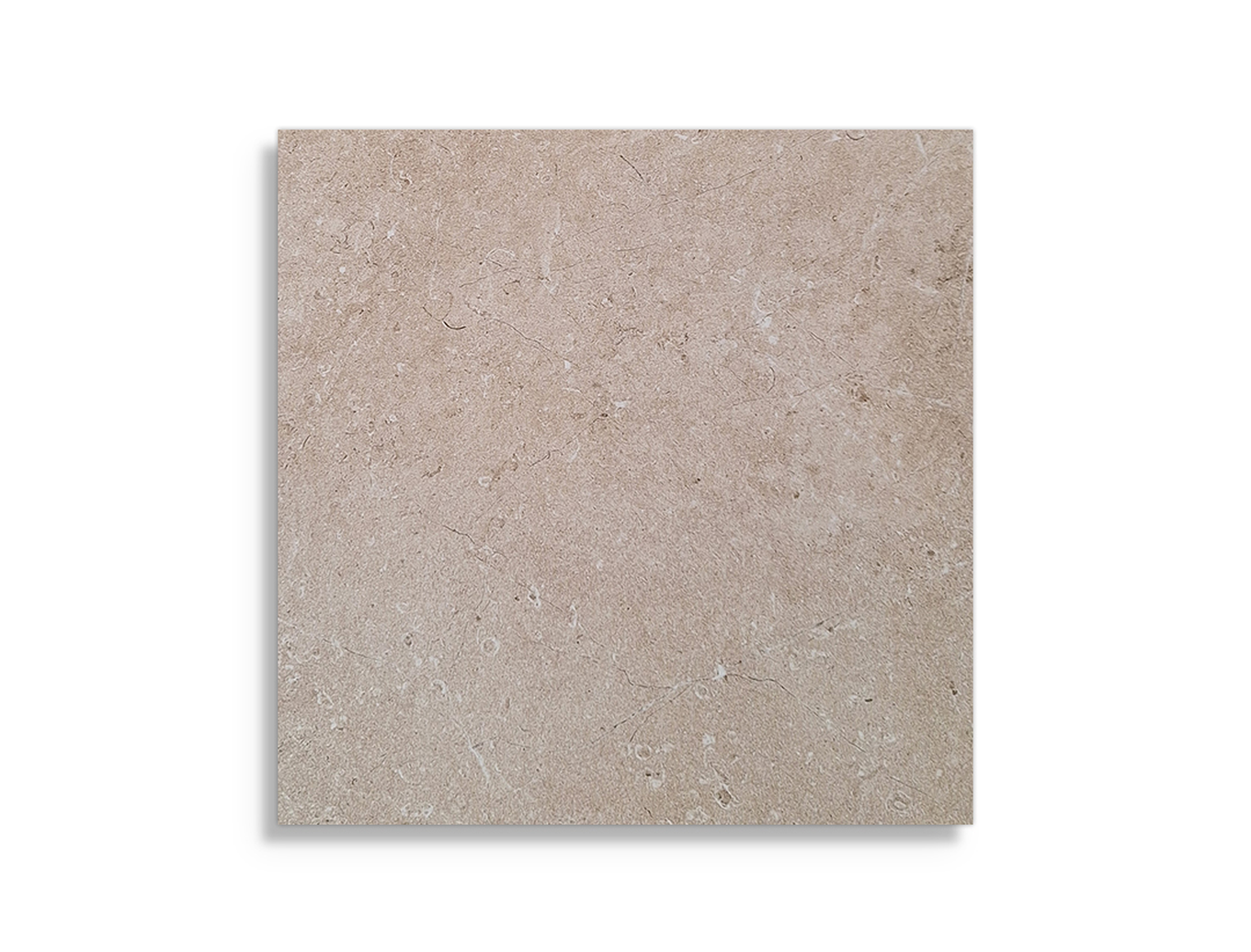 Vloertegel Flaminia Oregon Ivory 60 x 60