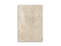 vloertegel Beige 60 x 90 | 194-157 | Jan Groen Tegels