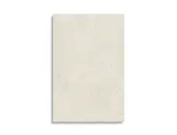 vloertegel Beige 60 x 90 | 194-157 | Jan Groen Tegels