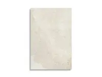 vloertegel Beige 60 x 90 | 194-157 | Jan Groen Tegels