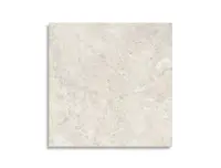 vloertegel Taupe 60 x 60 | 458-109 | Jan Groen Tegels