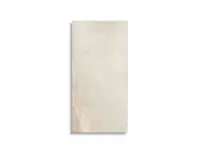 vloertegel Beige 30 x 60 | 665-905 | Jan Groen Tegels