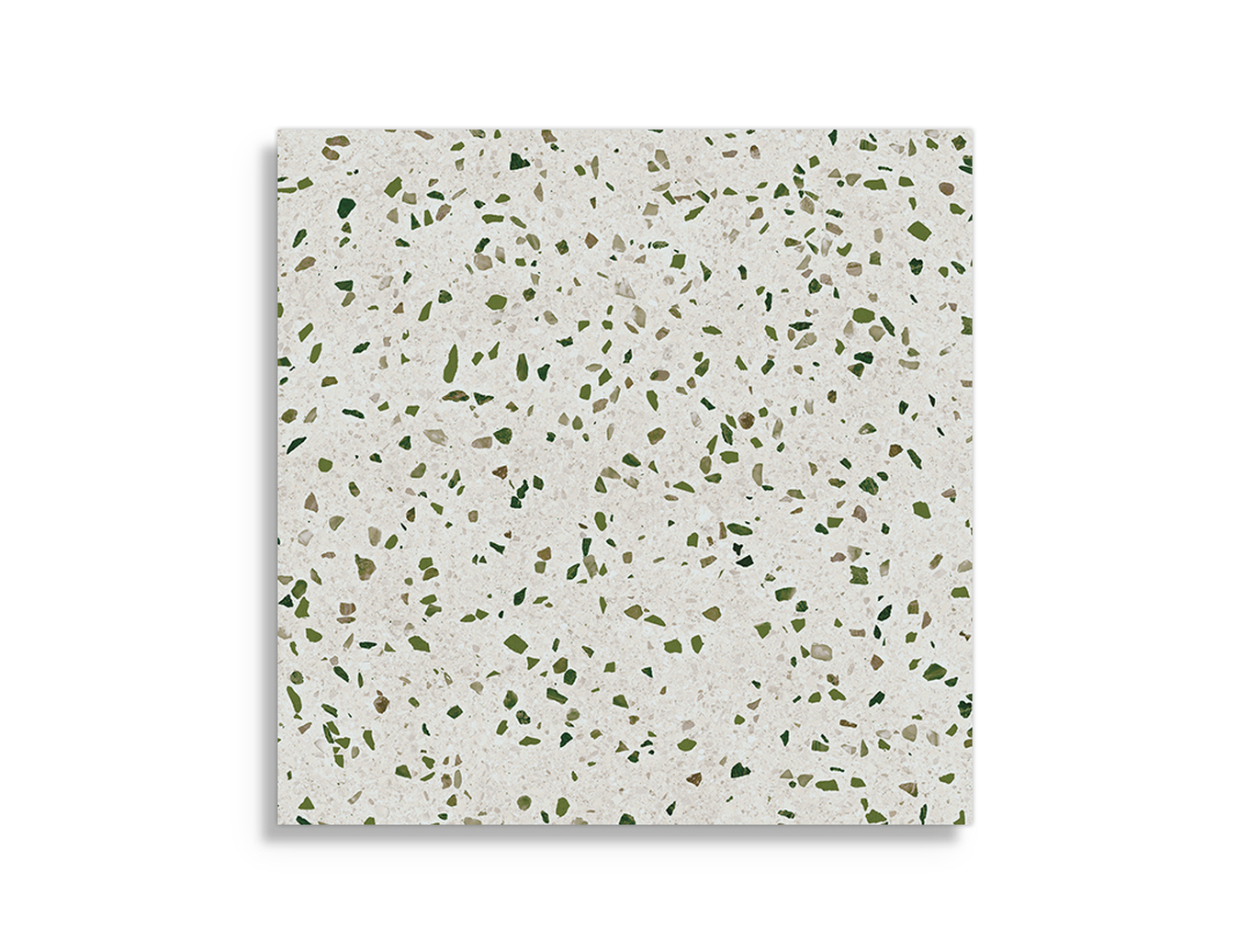 Vloertegel Pamesa Terrazzo Saggio Rec 60 x 60