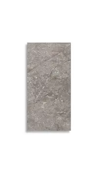 Vloertegel Pamesa Wells Moka Pulido 60 x 120 | 509-404 | Jan Groen Tegels