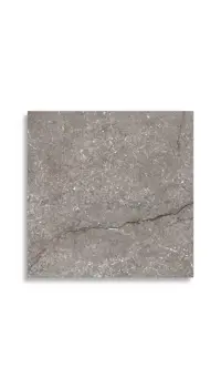 Vloertegel Pamesa Wells Moka Pulido 60 x 60 | 153-937 | Jan Groen Tegels